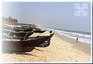 Benaulim Beach - Goa