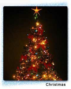 Christmas Tree, Goa